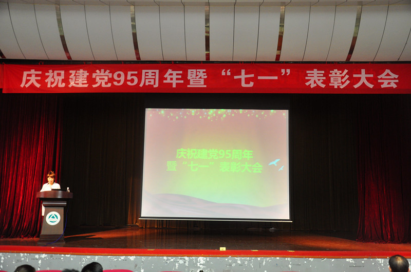 艾弗森贝博ballbet官网党委隆重举行庆祝建党95周年暨“七一”表彰大会